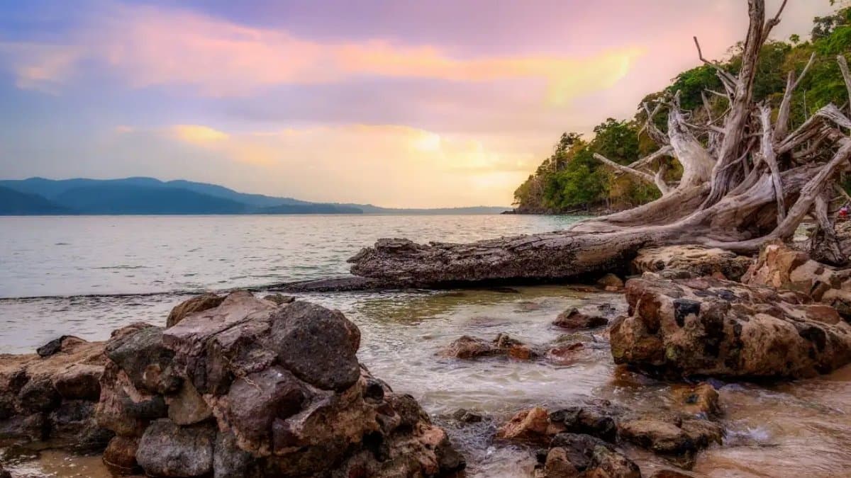 Andaman Packages from Vizag: A Guide to Your Tropical Getaway